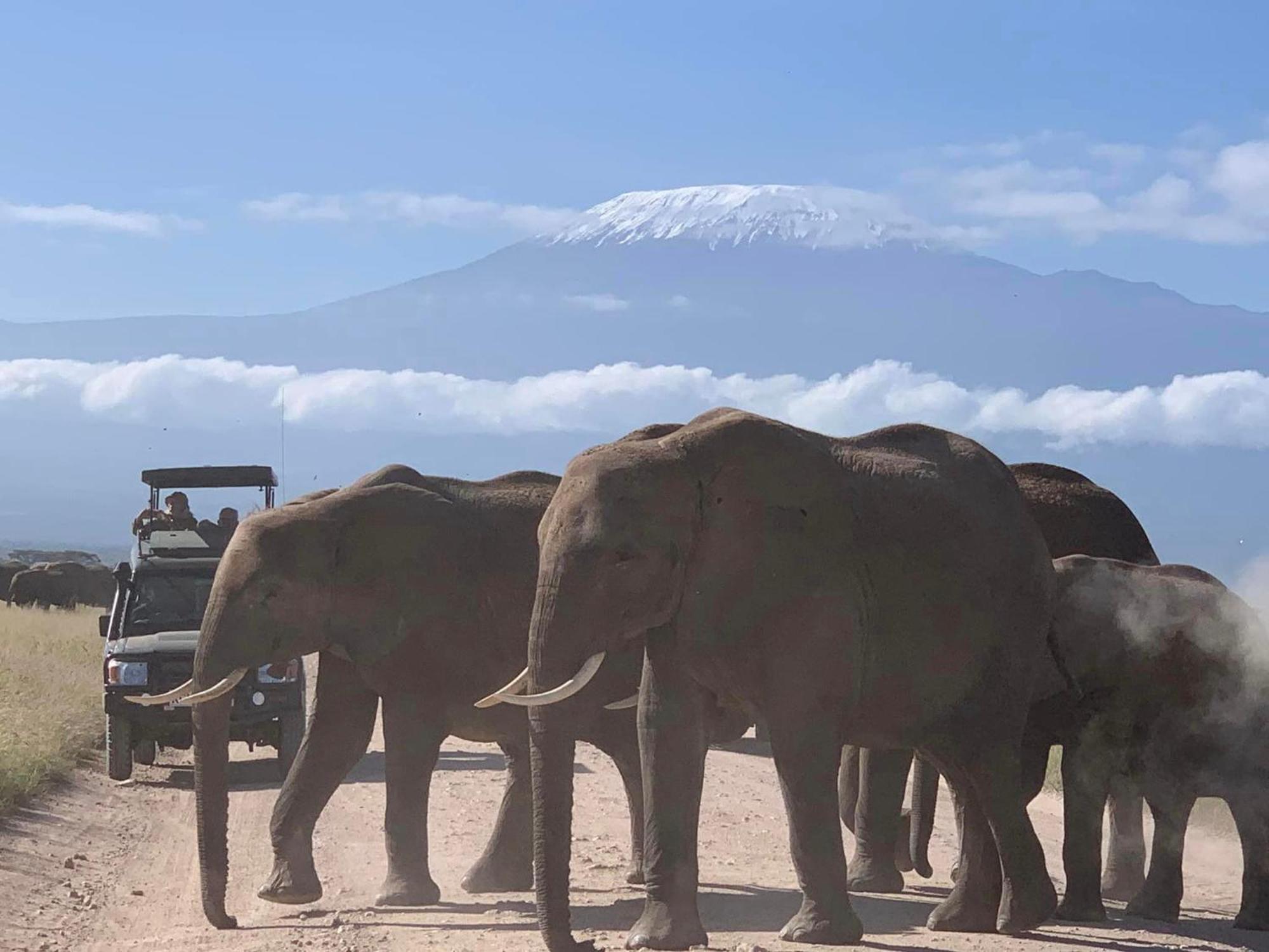 Amboseli Discovery Camp Extérieur photo