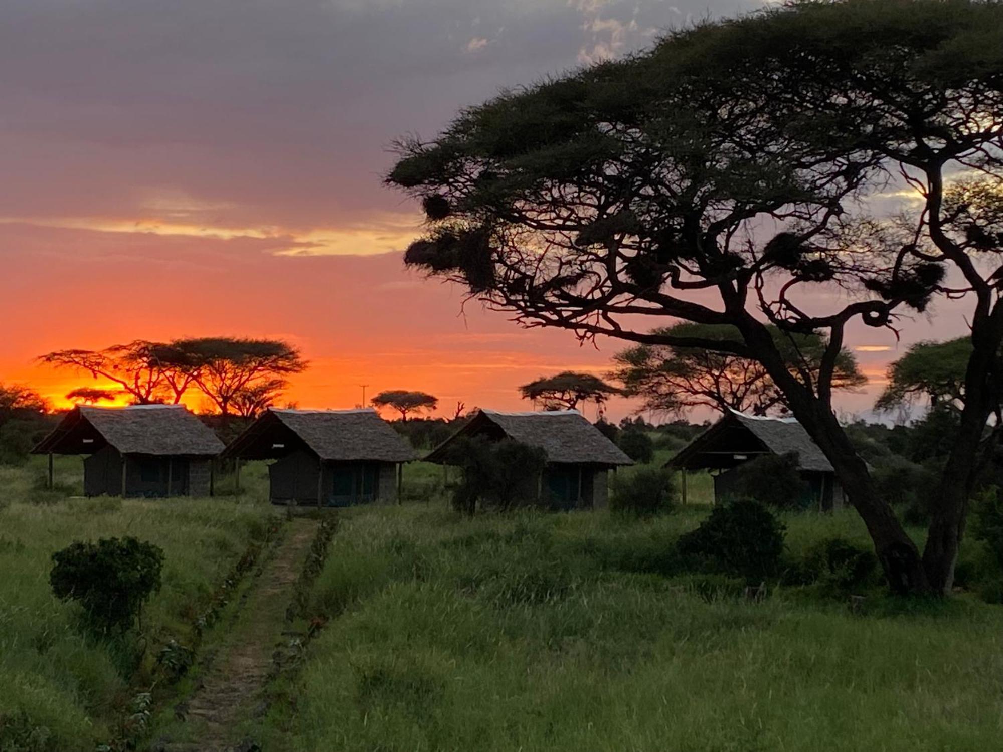 Amboseli Discovery Camp Extérieur photo
