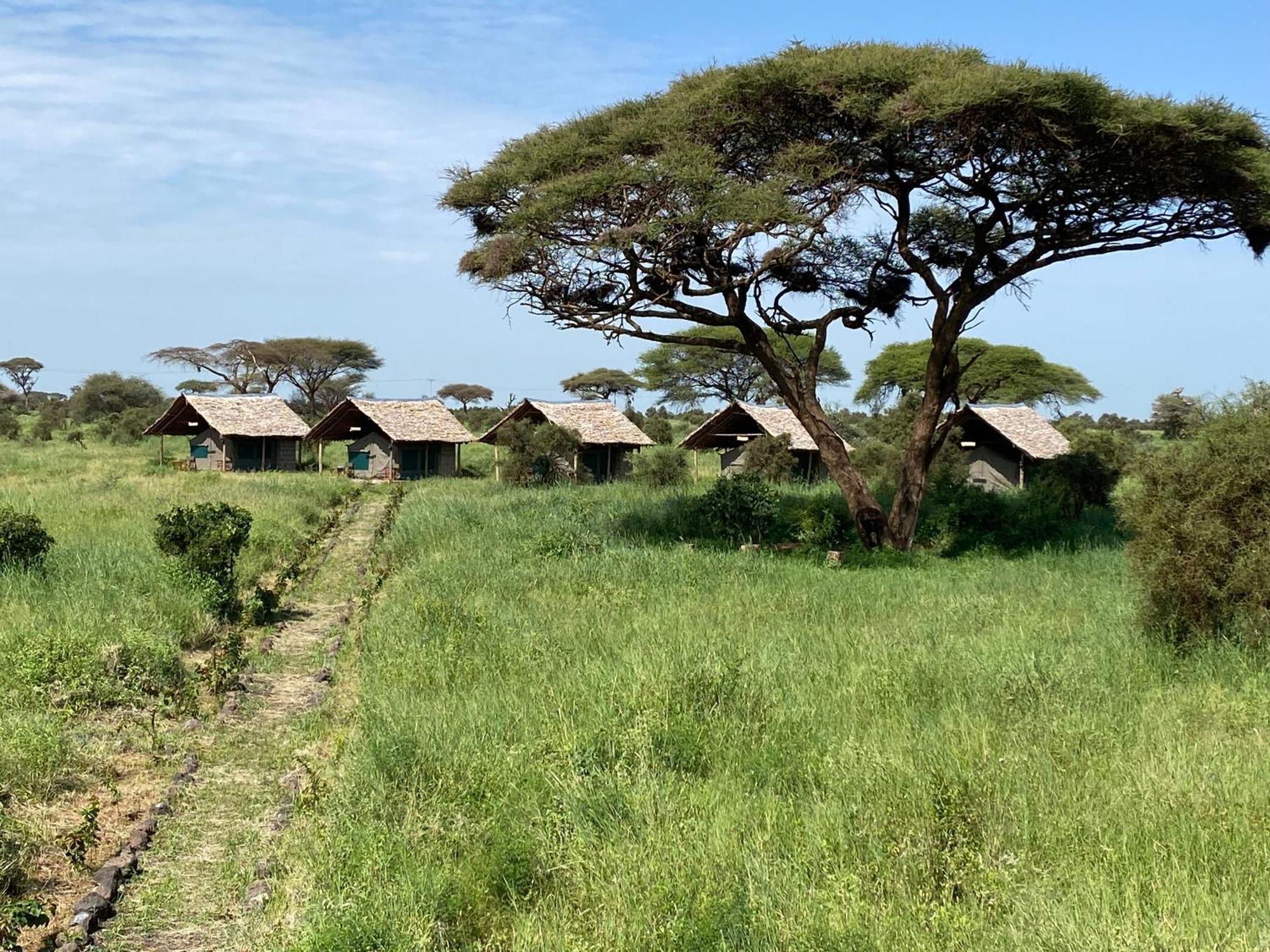 Amboseli Discovery Camp Extérieur photo