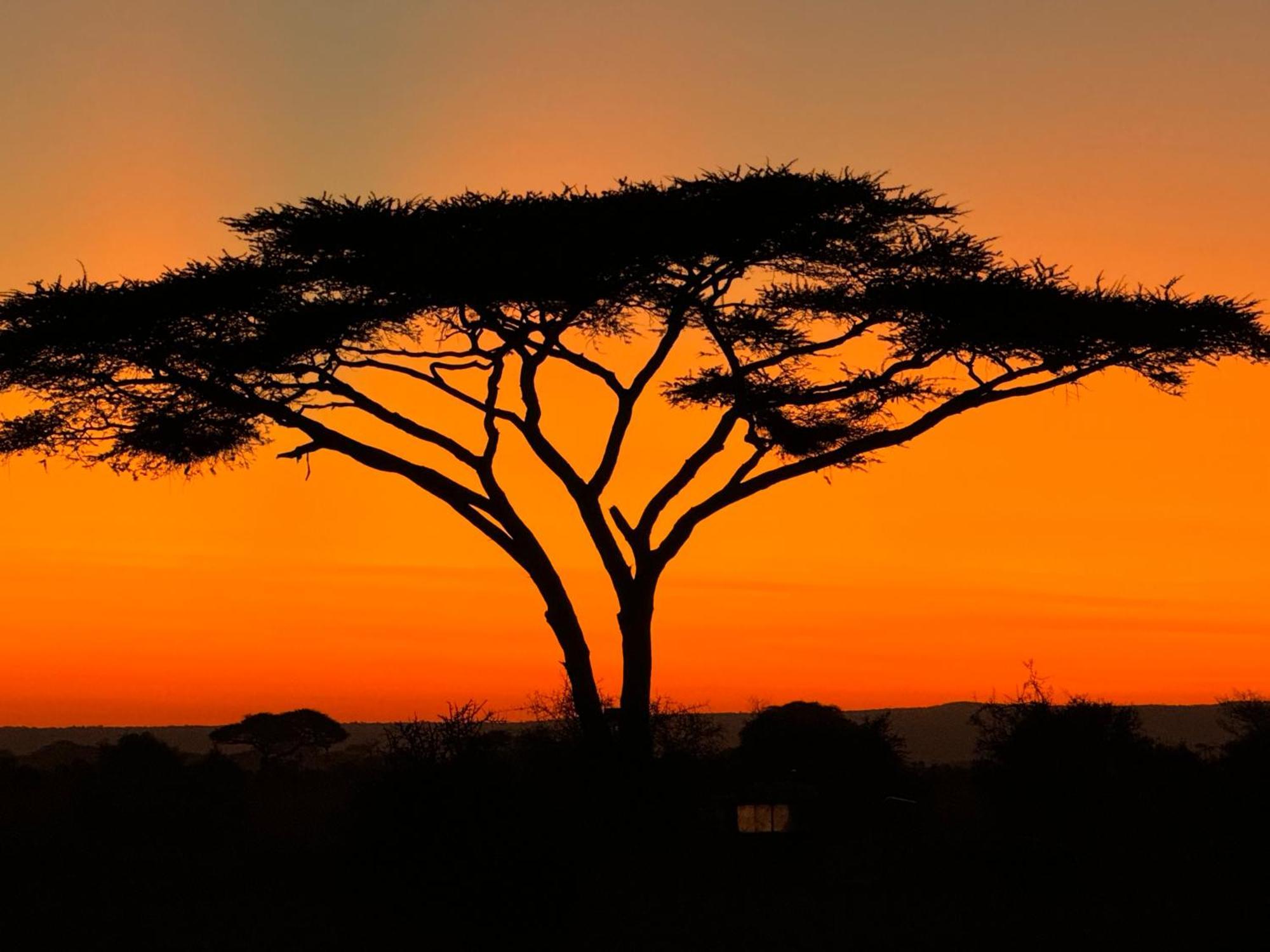Amboseli Discovery Camp Extérieur photo